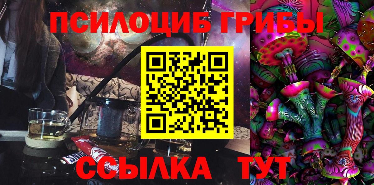 купить   Псилоцибиновые грибы Psilocybine cubensis  Вход с VPN  Рославль 