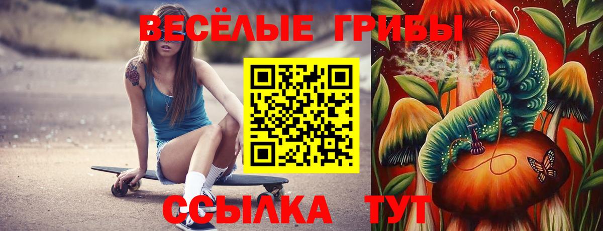 Галлюциногенные грибы мухоморы Рославль